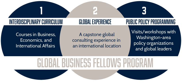 Global business fellows program info graphic