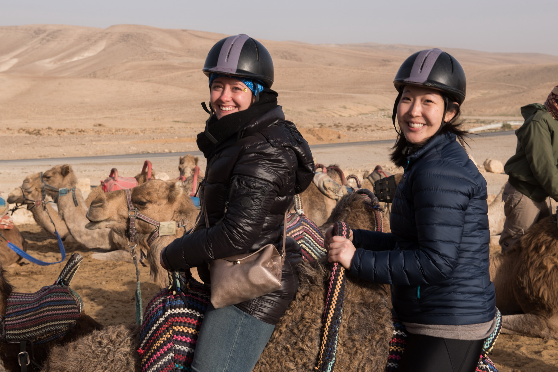 MBA students on camel in Israel