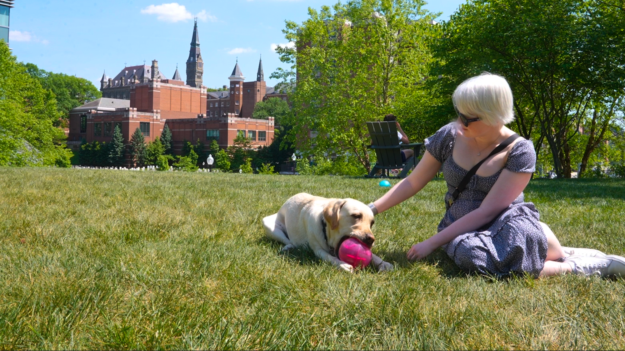 Marissa Nissley (B'24) has traversed the Hilltop accompanied by her guide dog, Smalls.