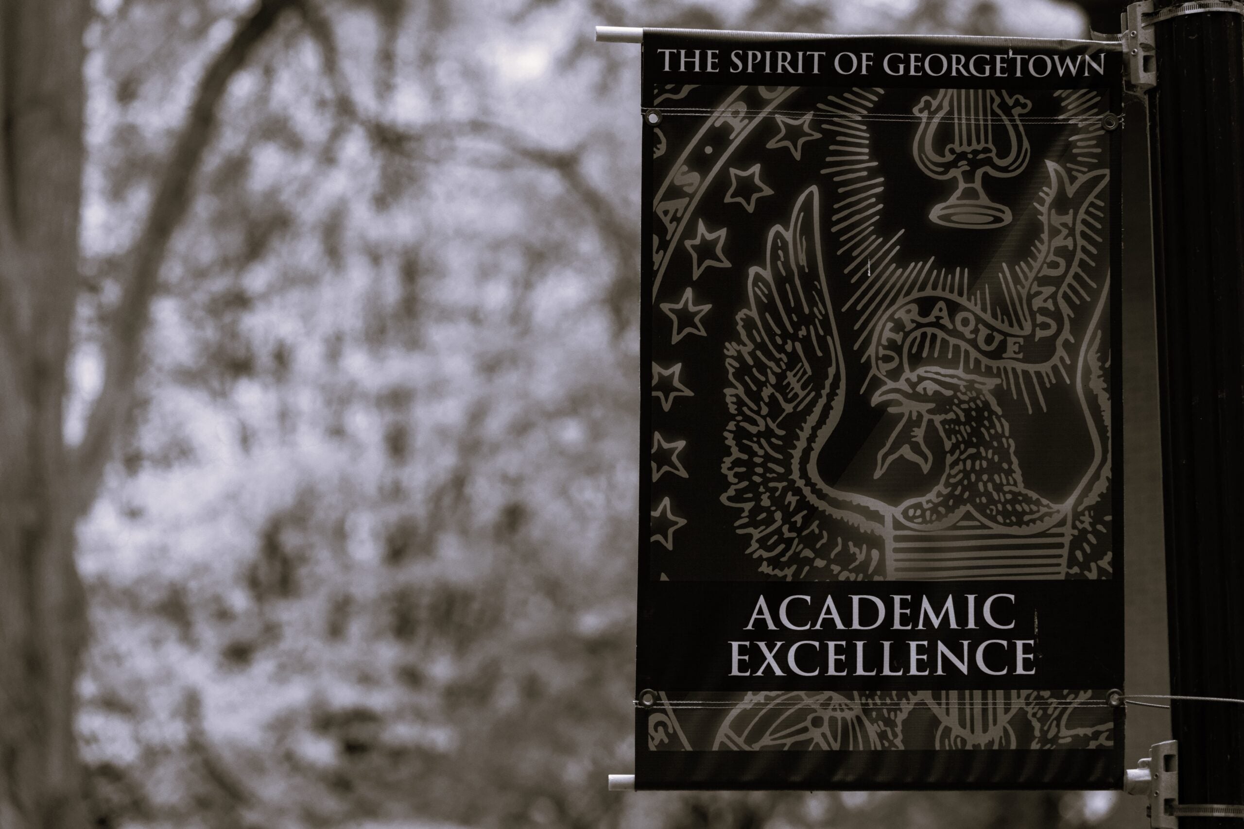 Academic Excellence banner on campus