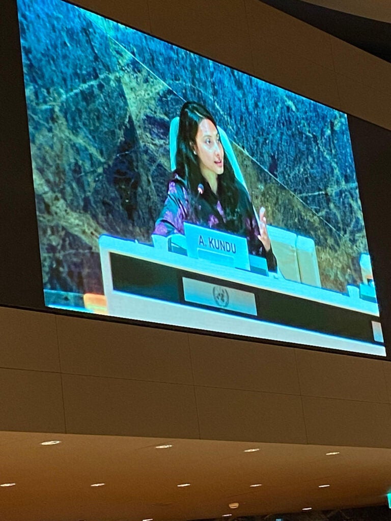 Kundu speaking at the United Nations Trade and Development panel discussions on illicit trade and waste.