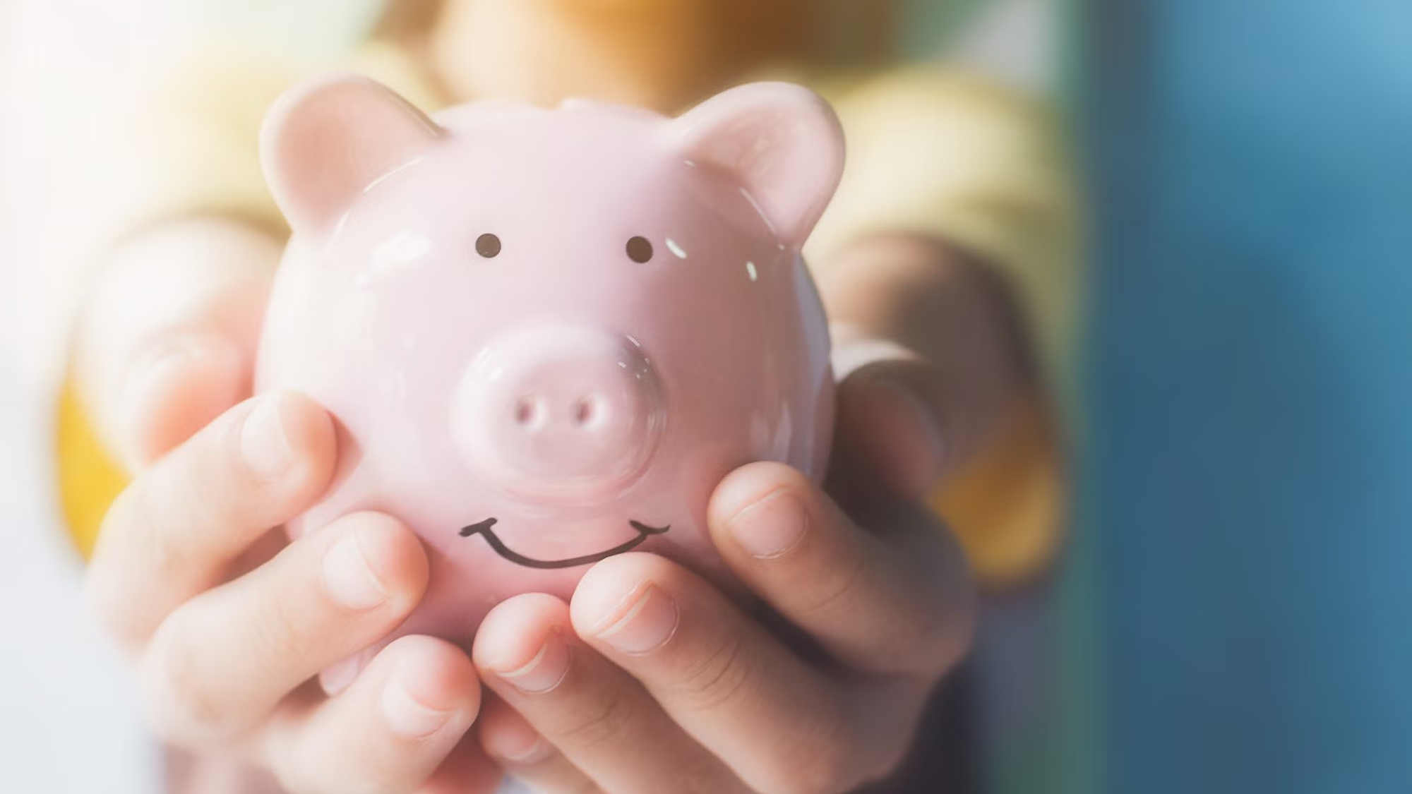 A person holds a piggy bank