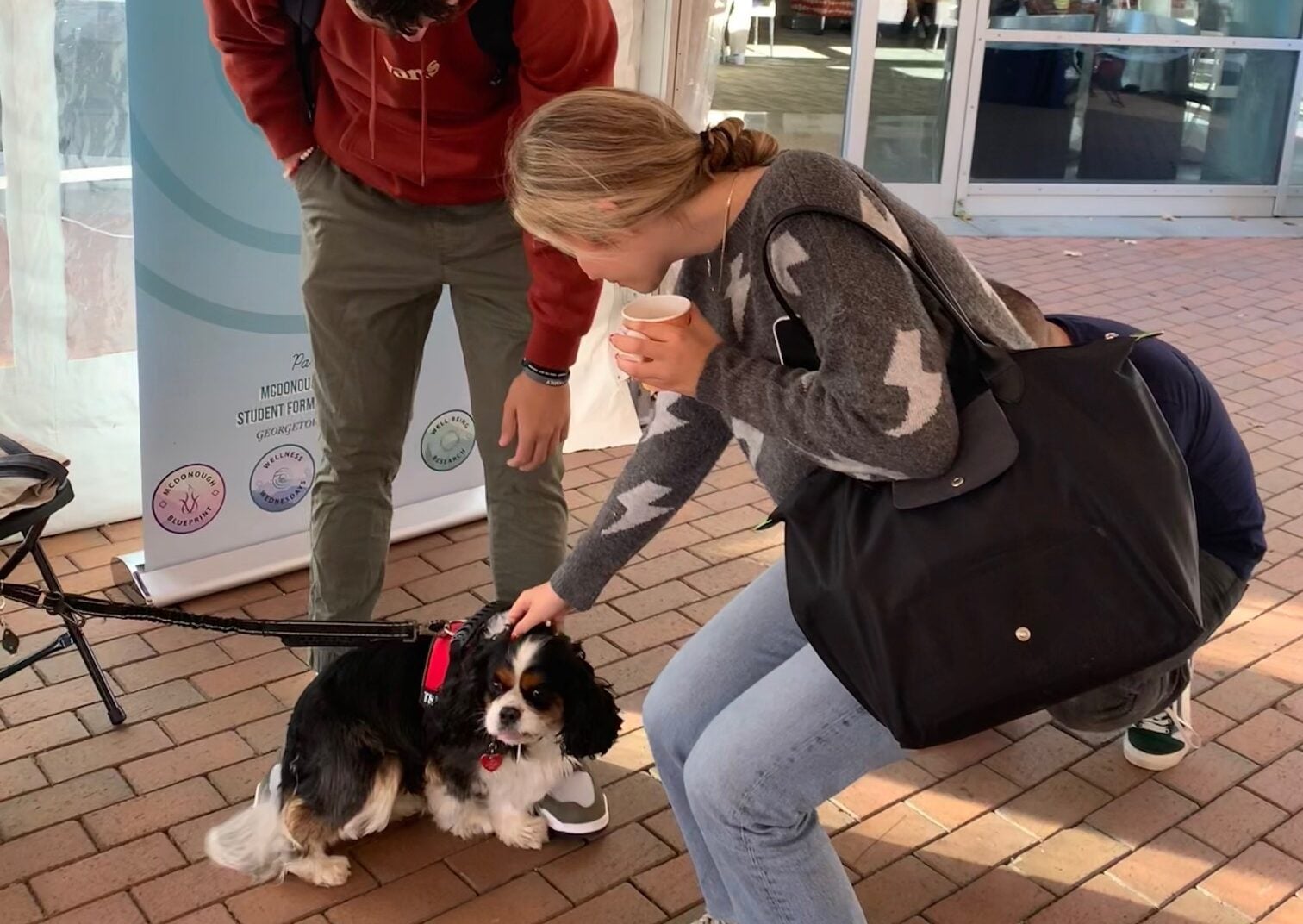 two undergraduate students petting a dog on campus