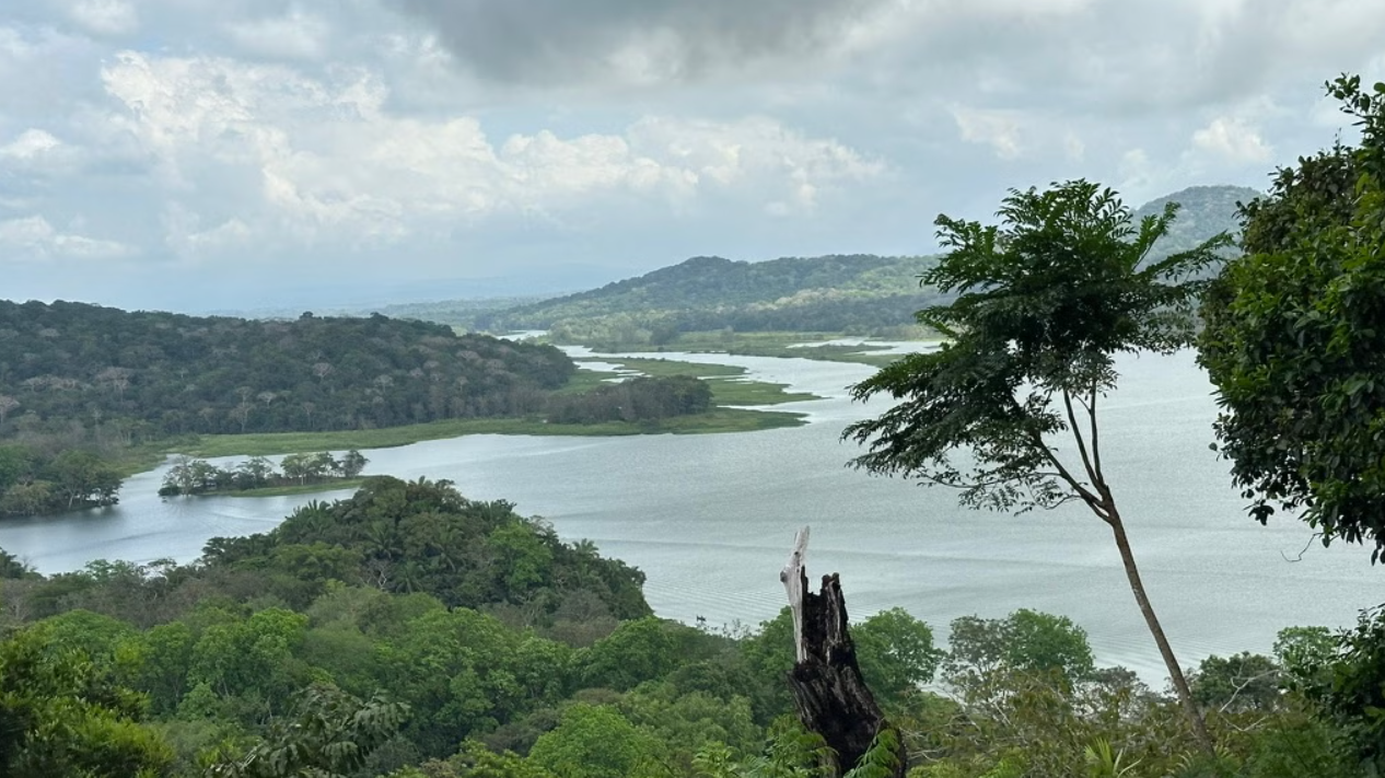 View of the Panama Canal from the Georgetown Global Business Fellows recent trip abroad