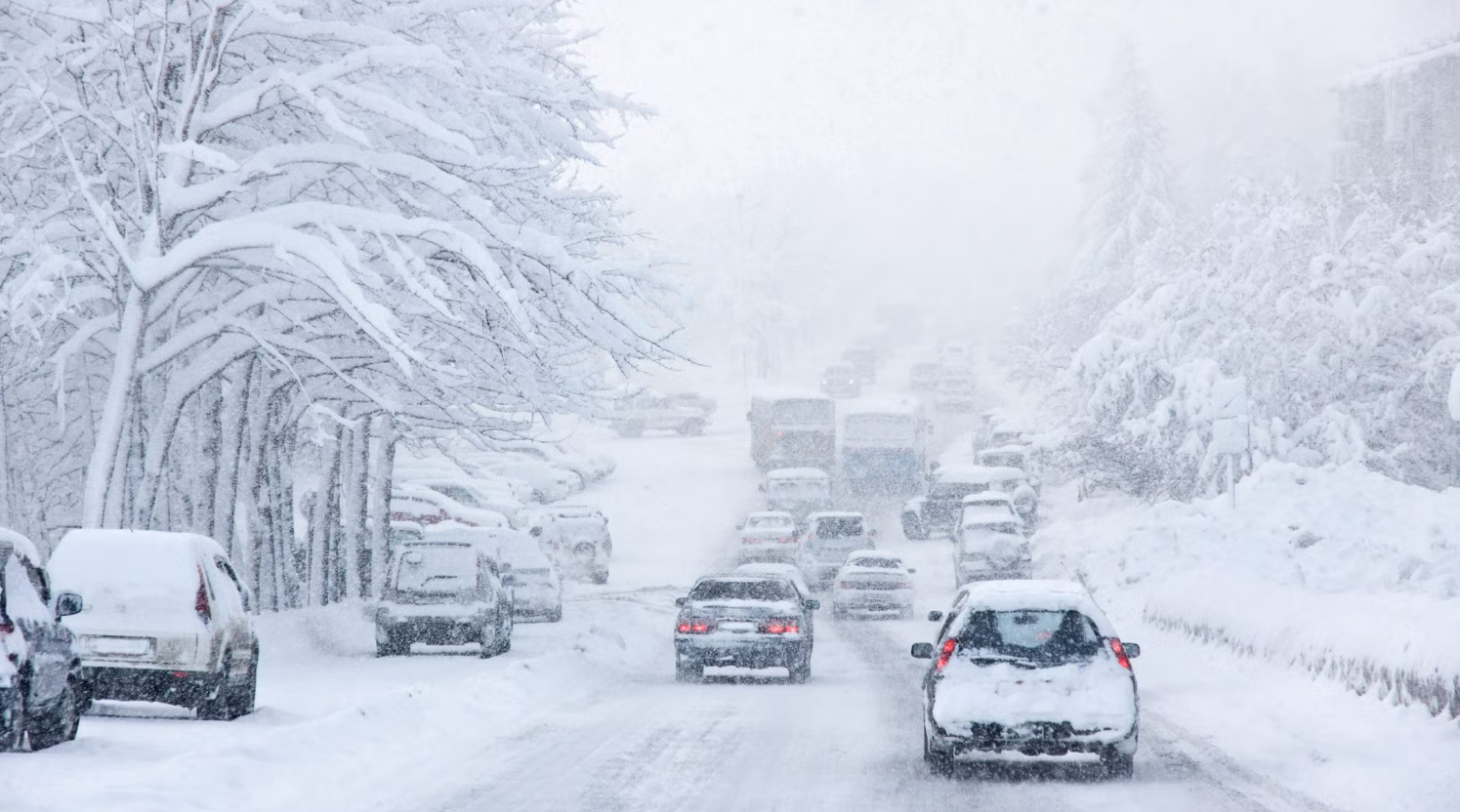 Winter storm in Northern Virginia and Washington, D.C.