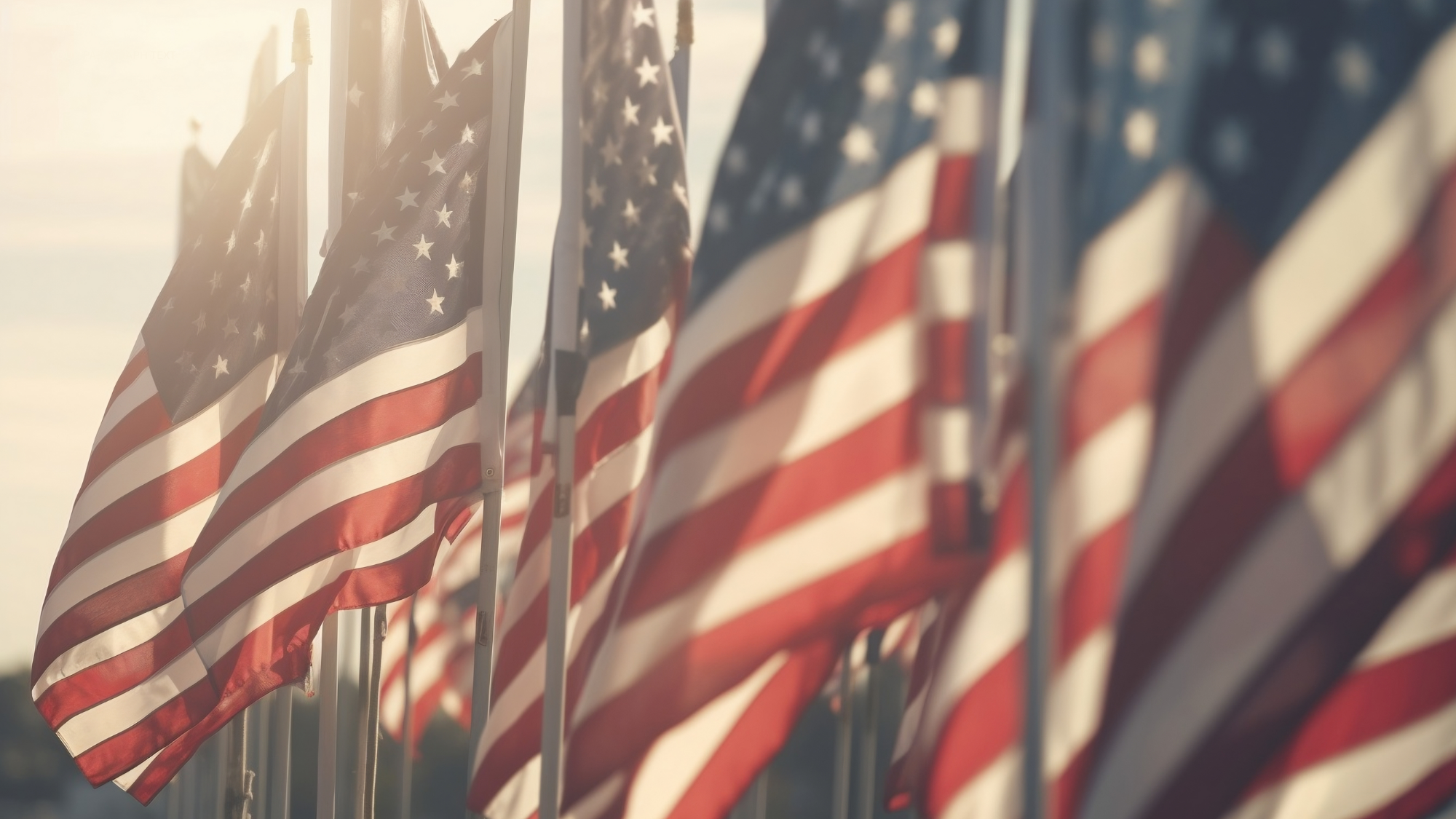 American flags at sunset
