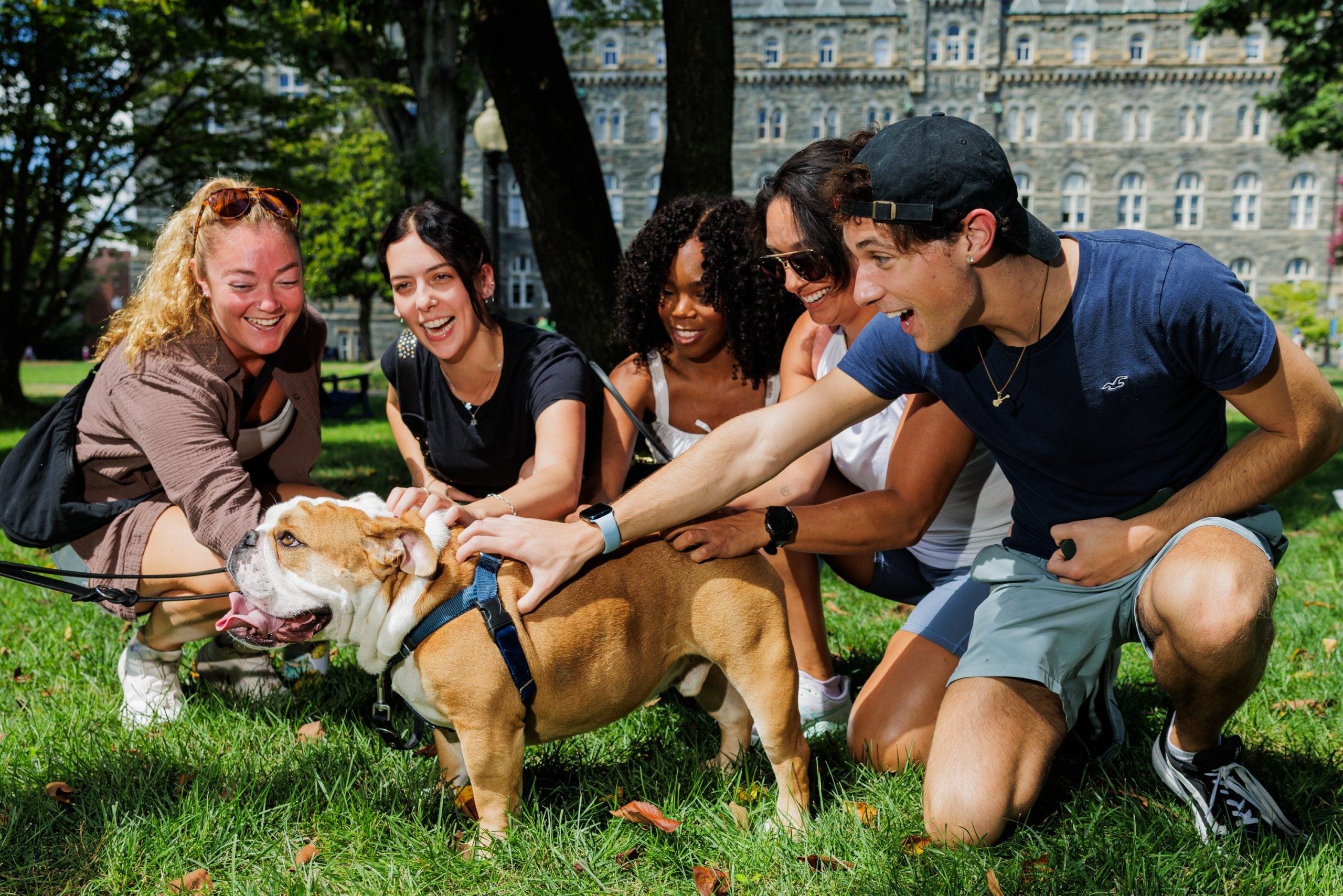 Students pet Jack the Bulldog on lawn at Georgetown University